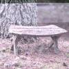 A mossy bench