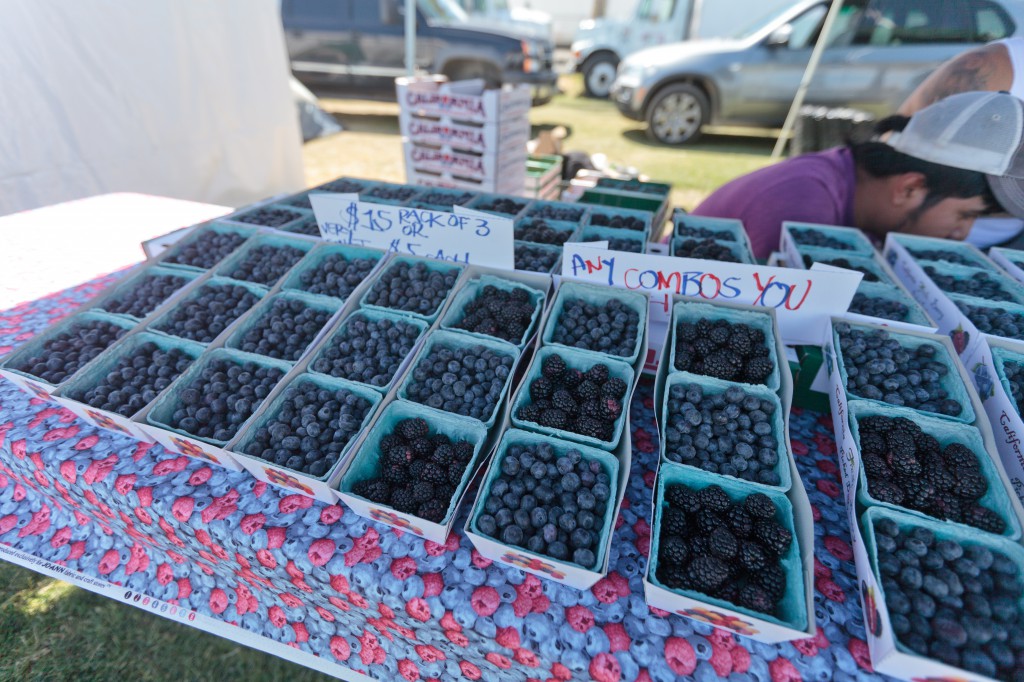 Coachella Berries