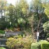 New Otani Garden