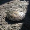 San Jacinto survey marker