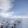 Skidoo Road Covered in Snow in Death Valley
