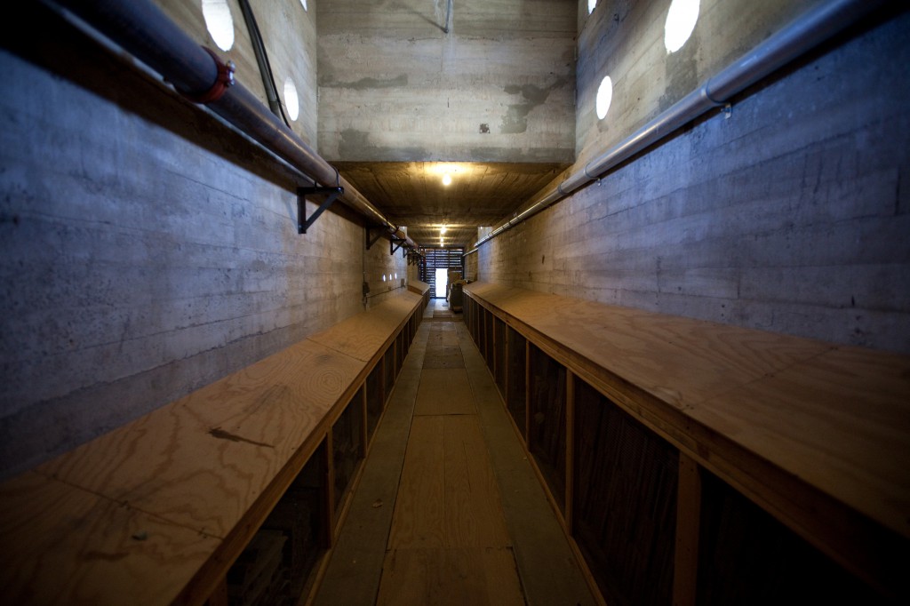 Tunnel Under Scotty's Castle