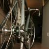 fixed gear