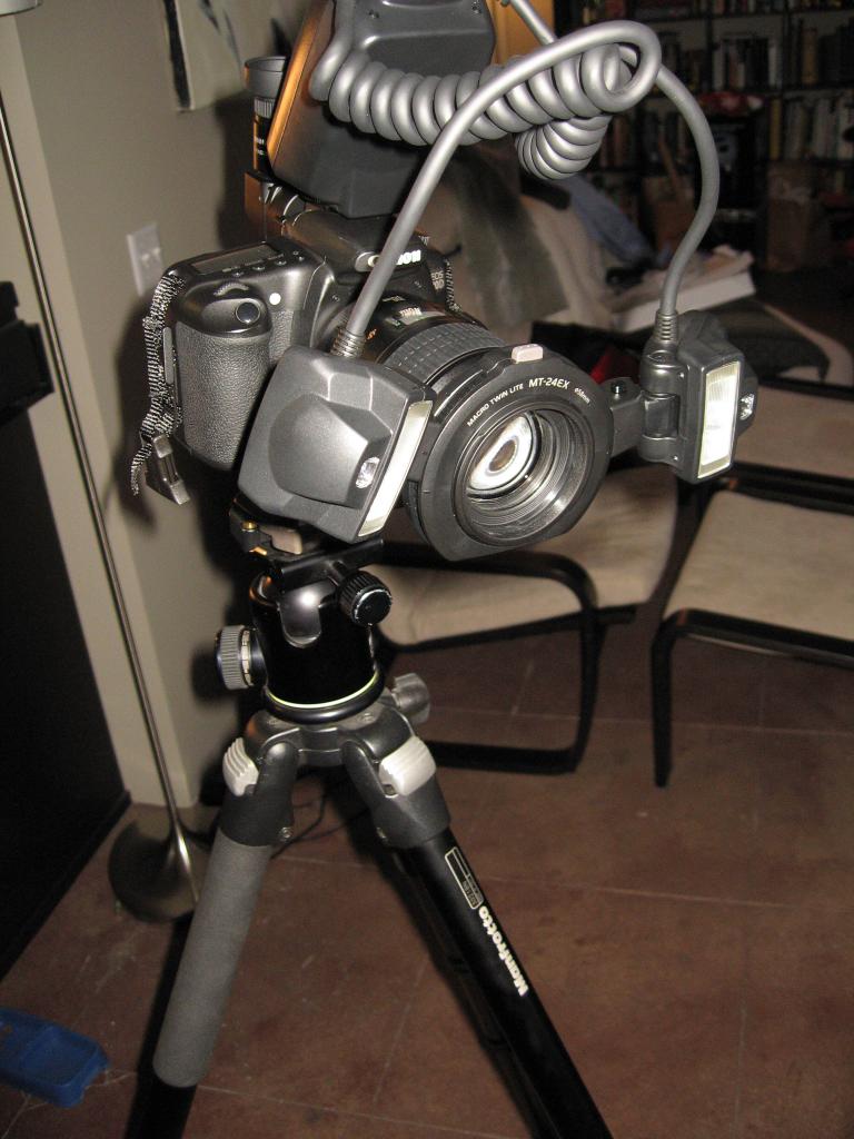 my new flash