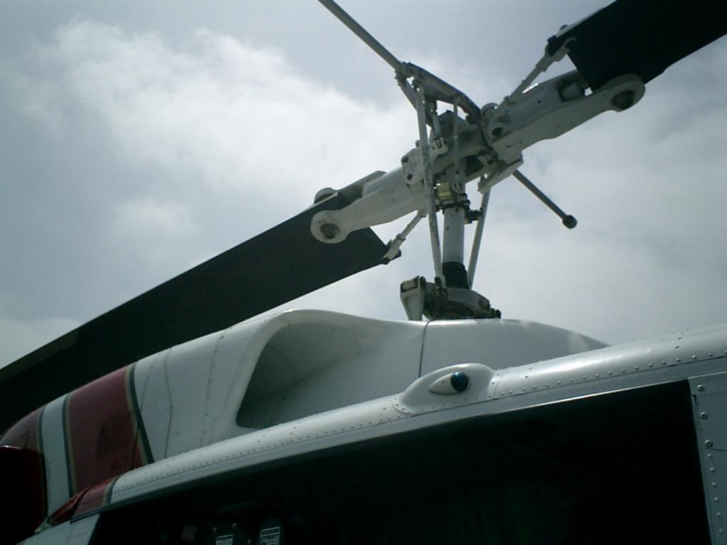 the hoist