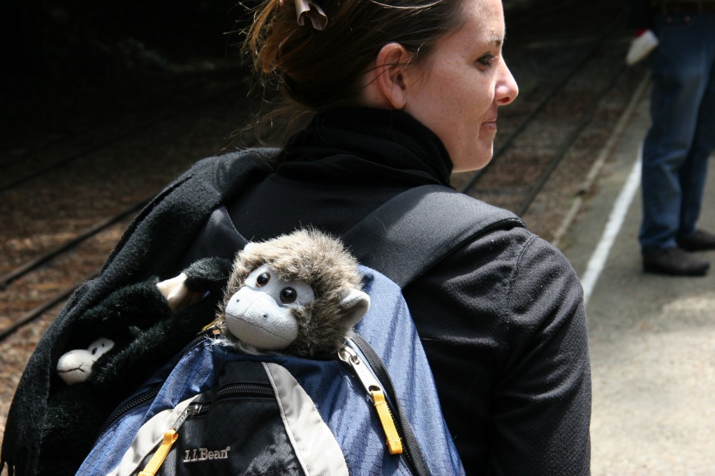 Monkey on board