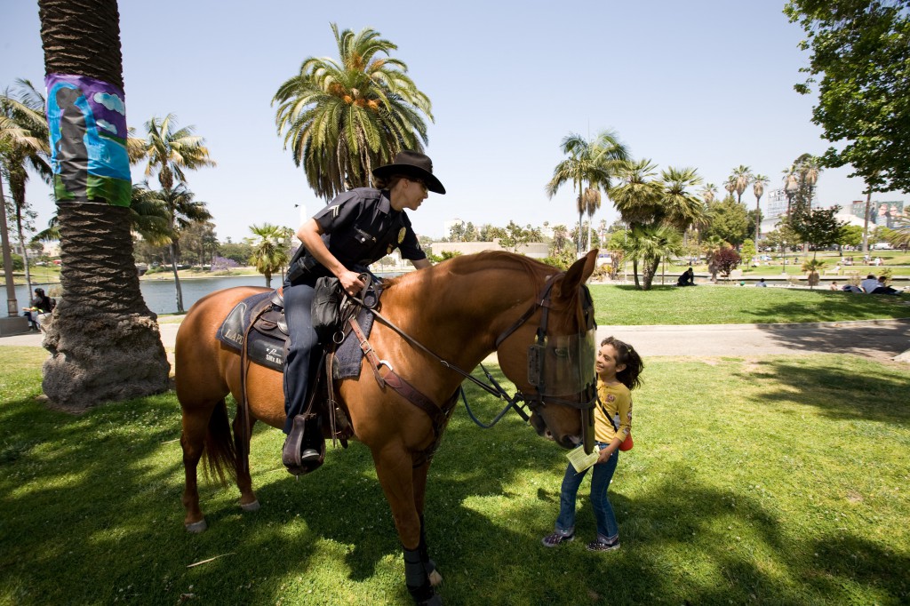 Mounted Officer Taking a Flyer