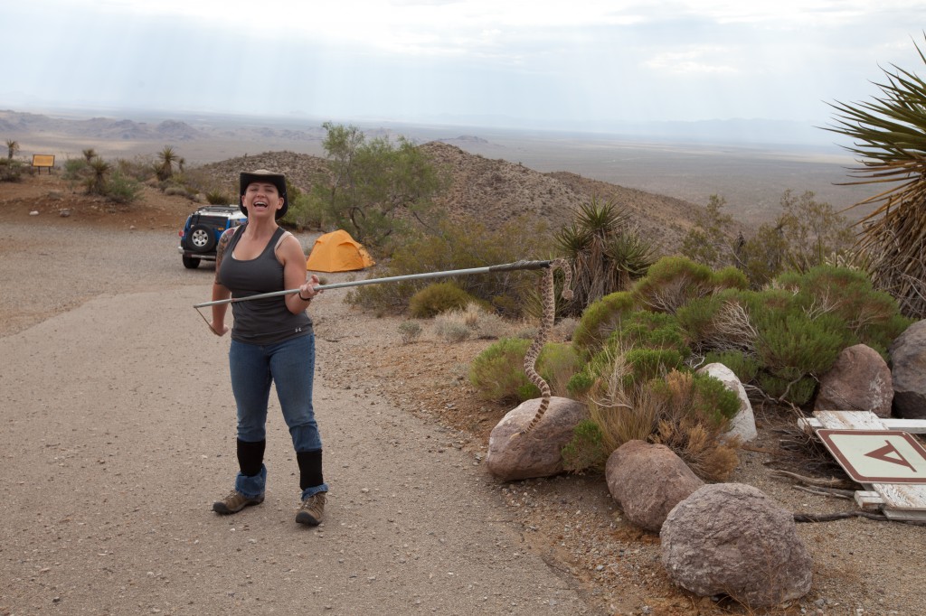 Rattlesnake Tamer