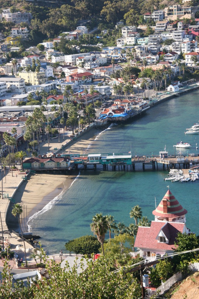 avalon pier - Catalina Vacation In Avalon on eecue.com : Dave Bullock