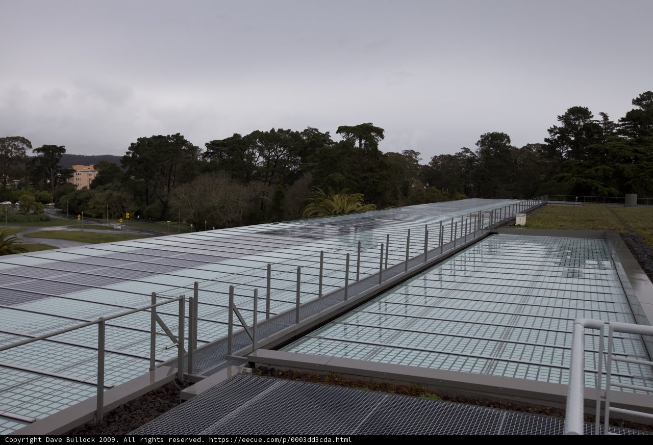 Green Roof with a View