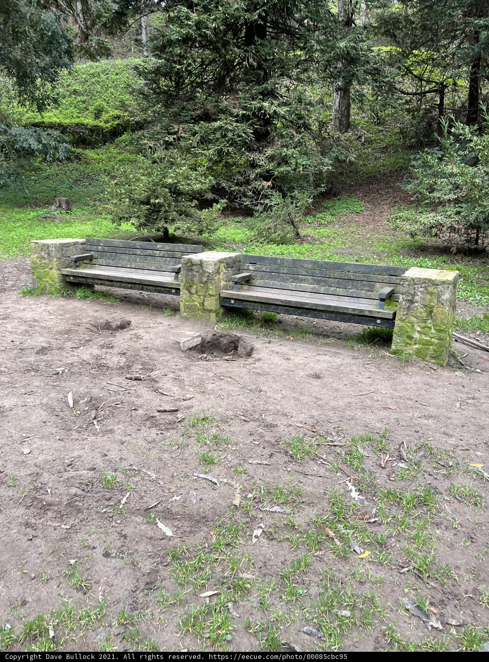 Solitude in the Park