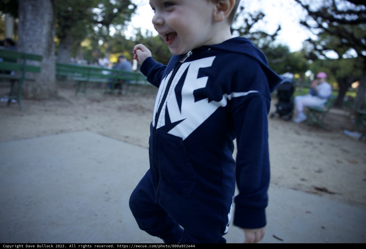 A Stroll Down Memory Lane: Wesley’s November Walk