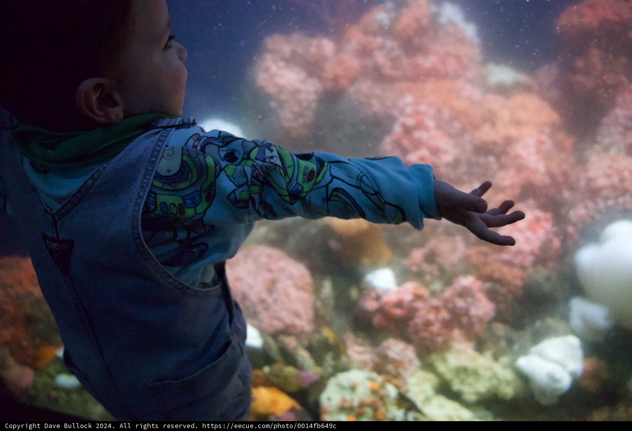 Young Explorer: Journey through the Underwater Realm