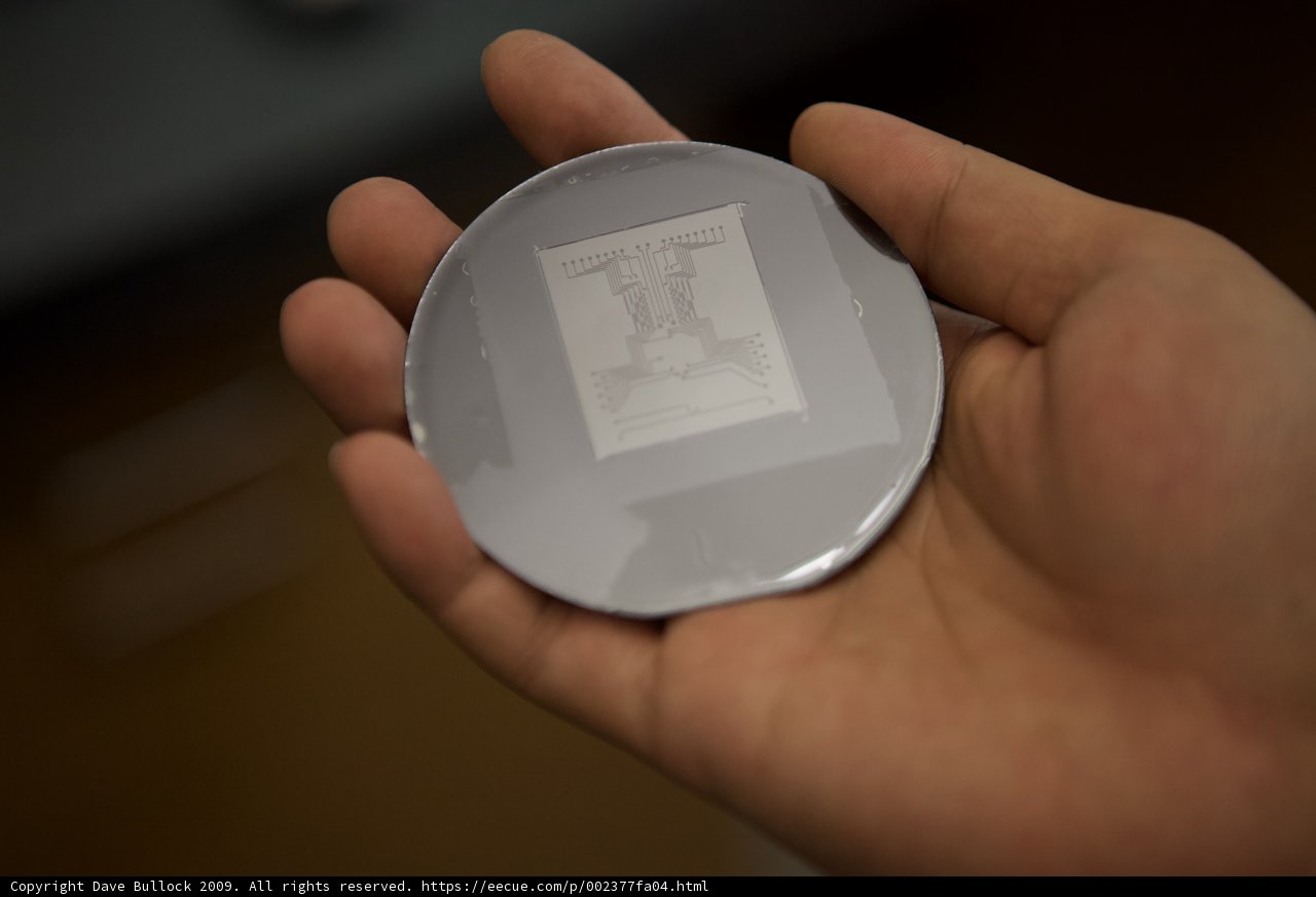 Micro Bio Chip Component Held in Hand