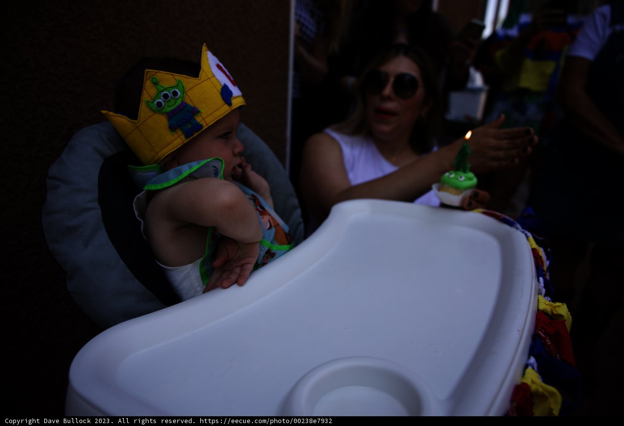 Royal Celebrations: Wesley's First Birthday Bash