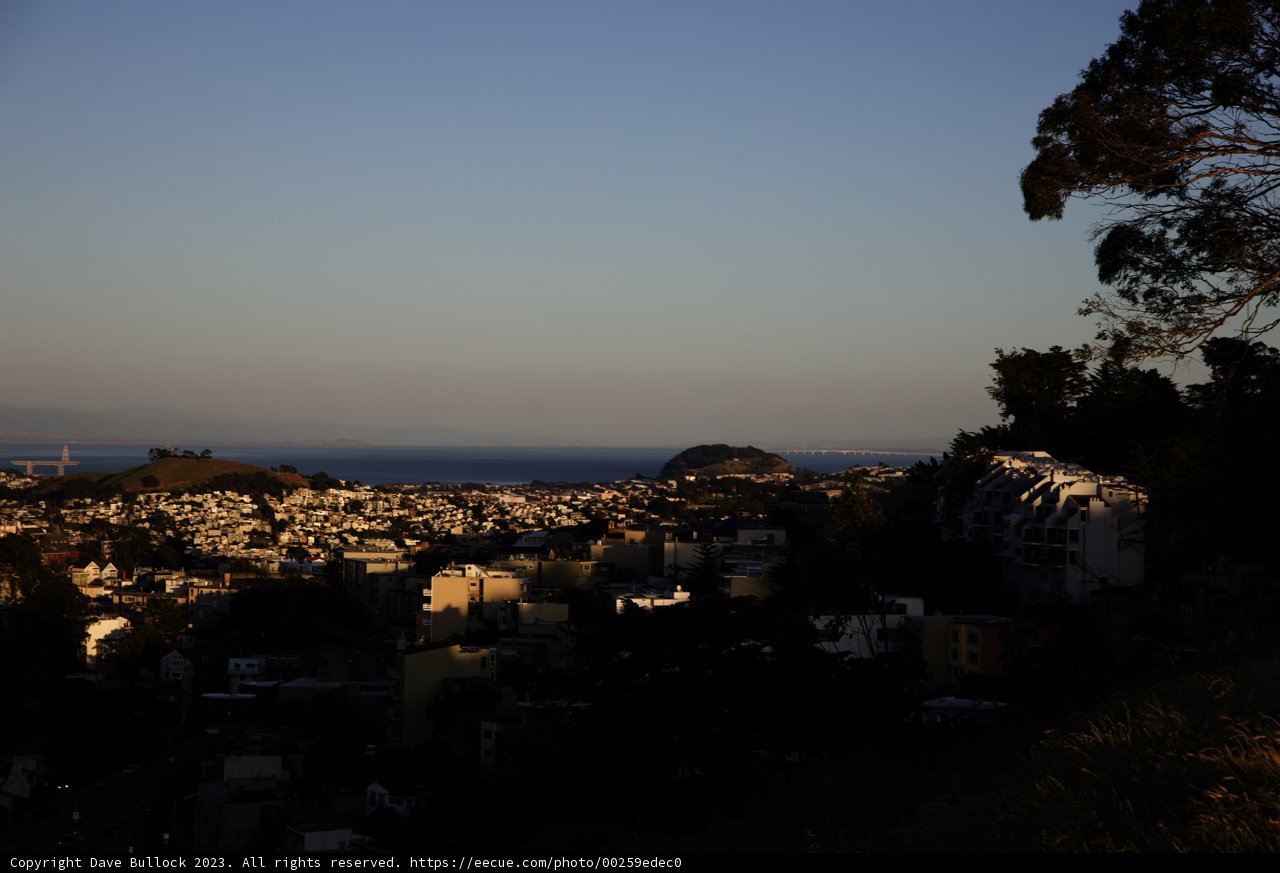 Urban Oasis: A Hillside Perspective