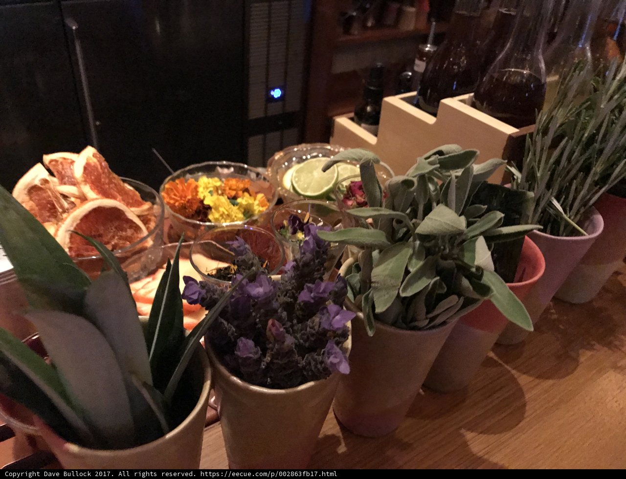 A Table of Abundant Plants and Flowers