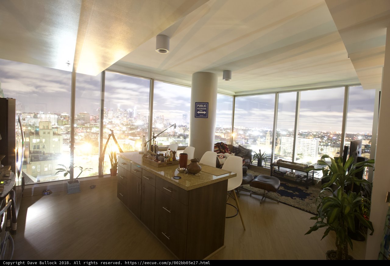Penthouse living room with city view