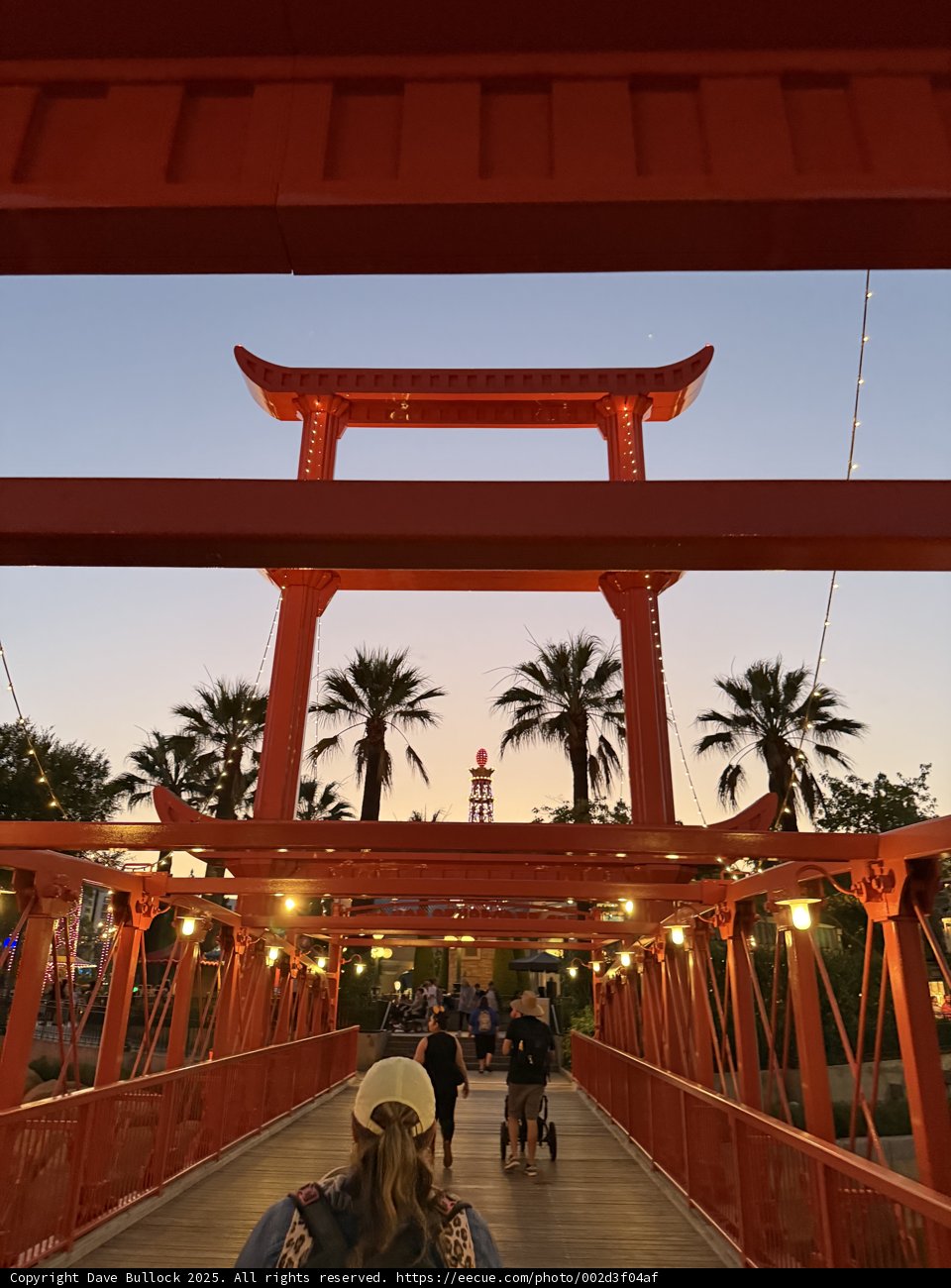 Sunset Stroll through Disney's Enchanted Walkway