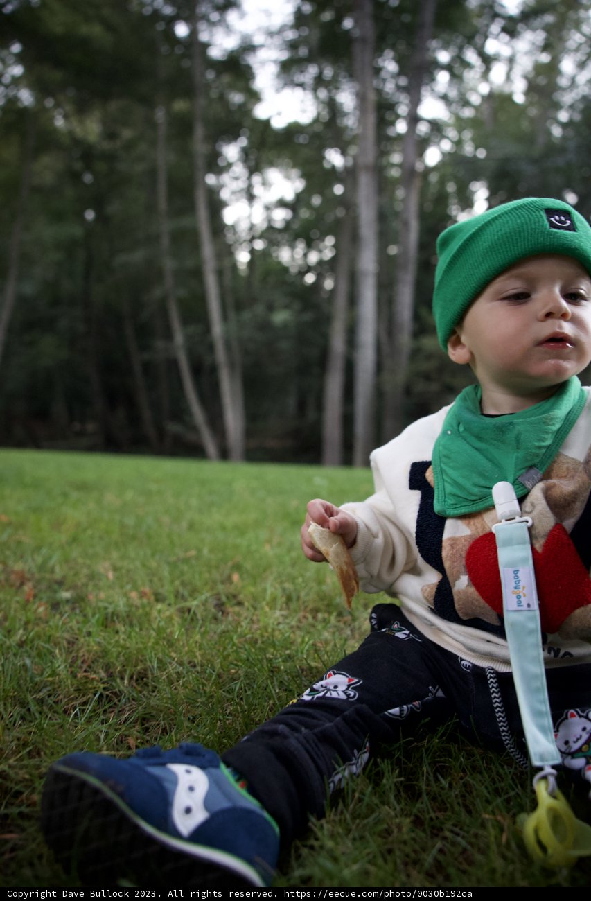 Little Explorer, Wesley's Big Sur Adventure