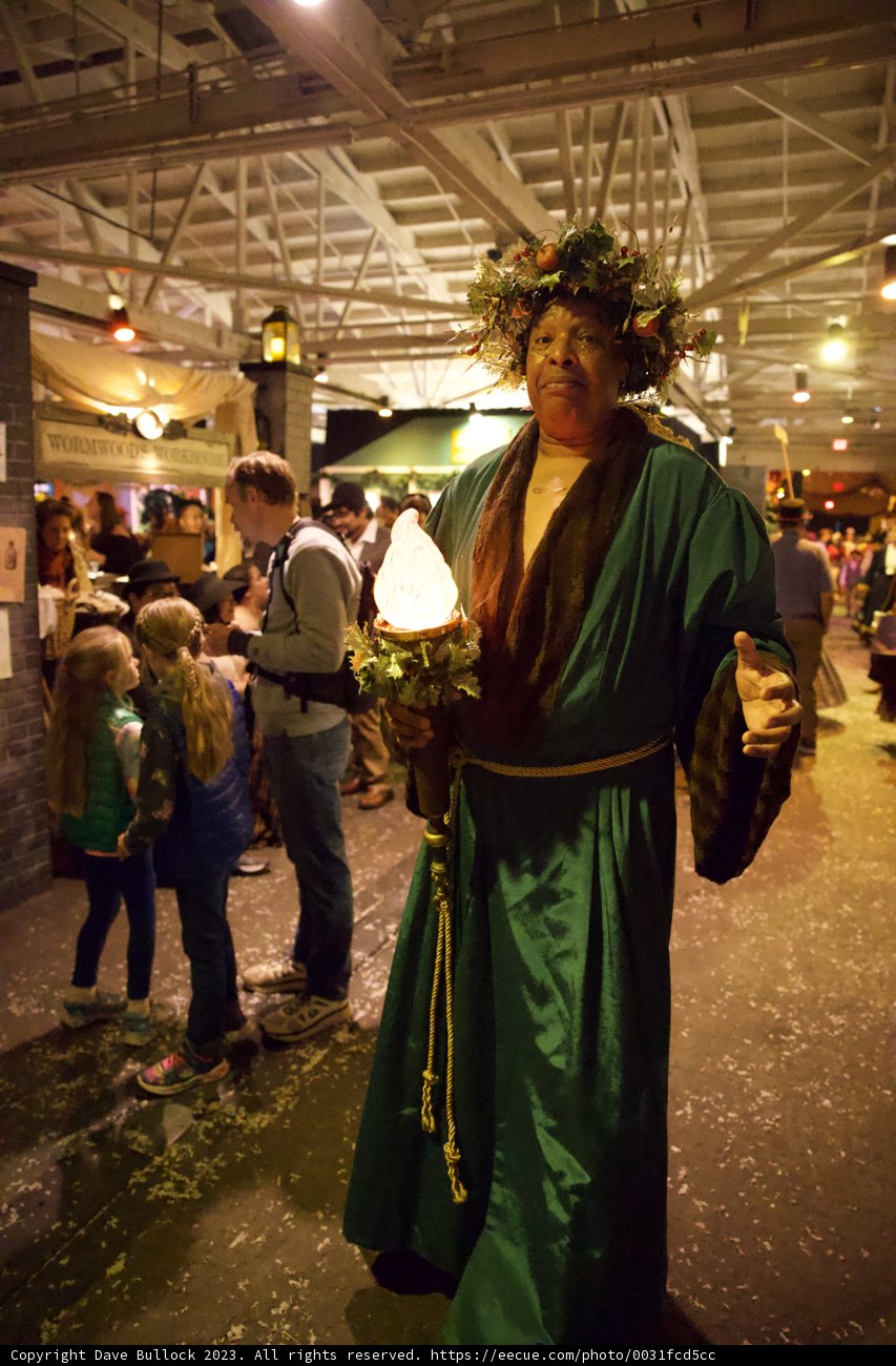 The Enigmatic Man in the Green Robe at Dickens Christmas Fair