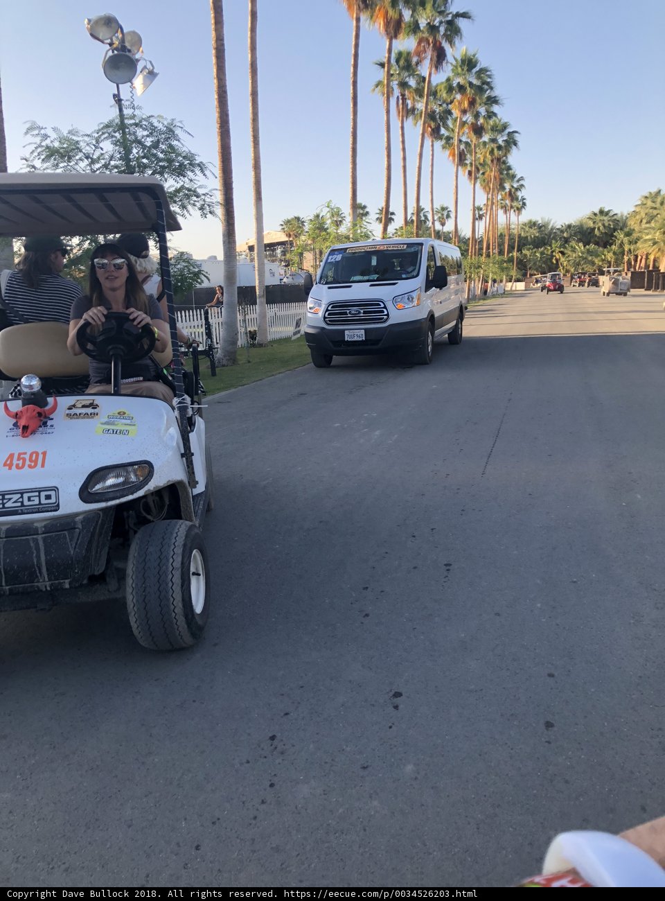 Driving Down the Road in Style