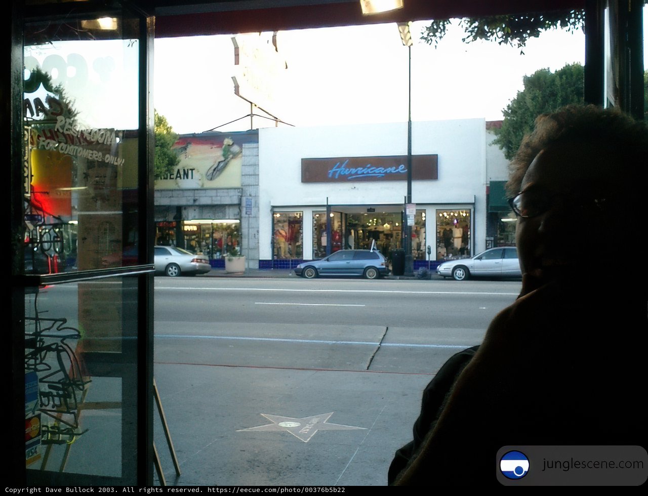 City View from a Store Window