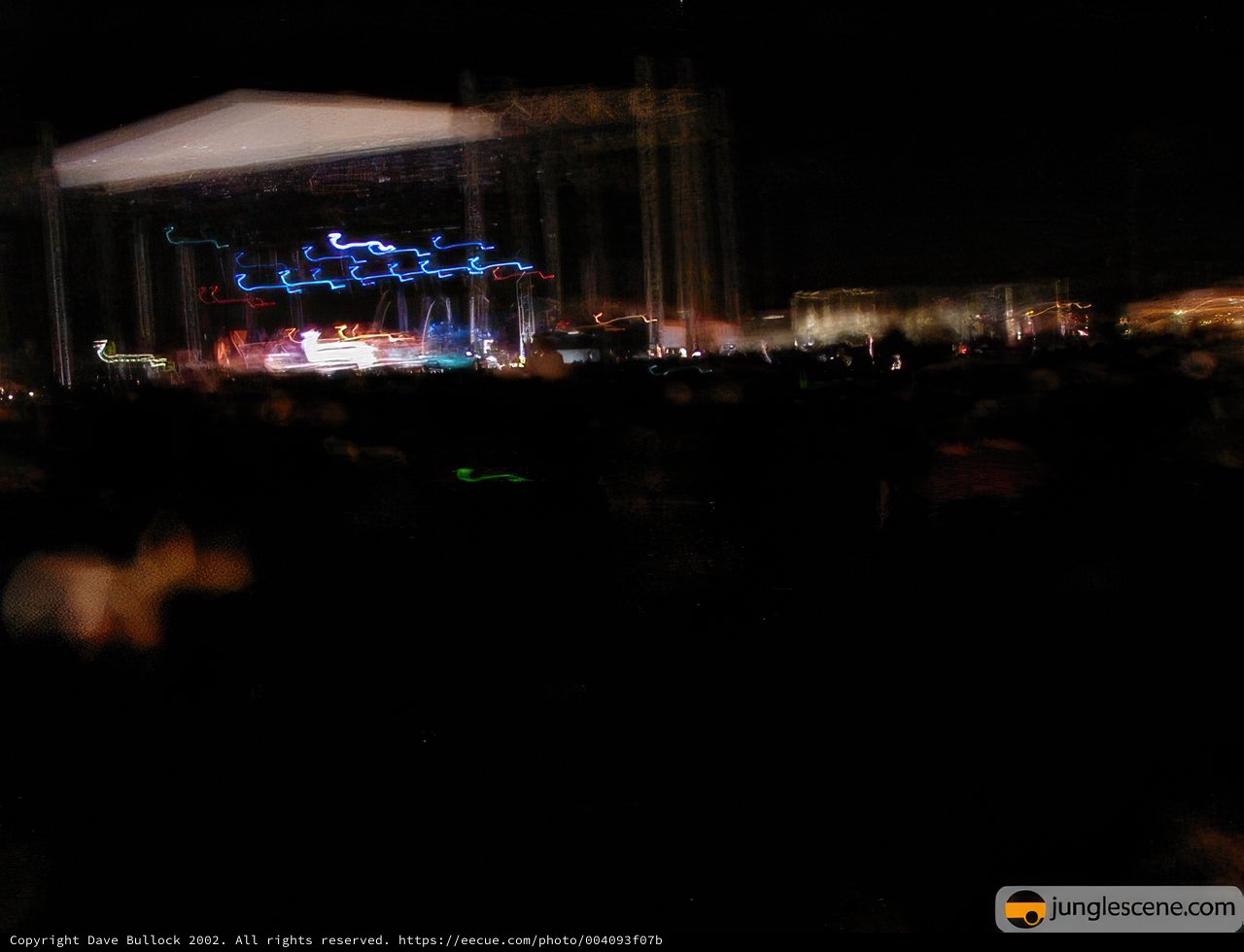 Blurry Night Concert Vibes