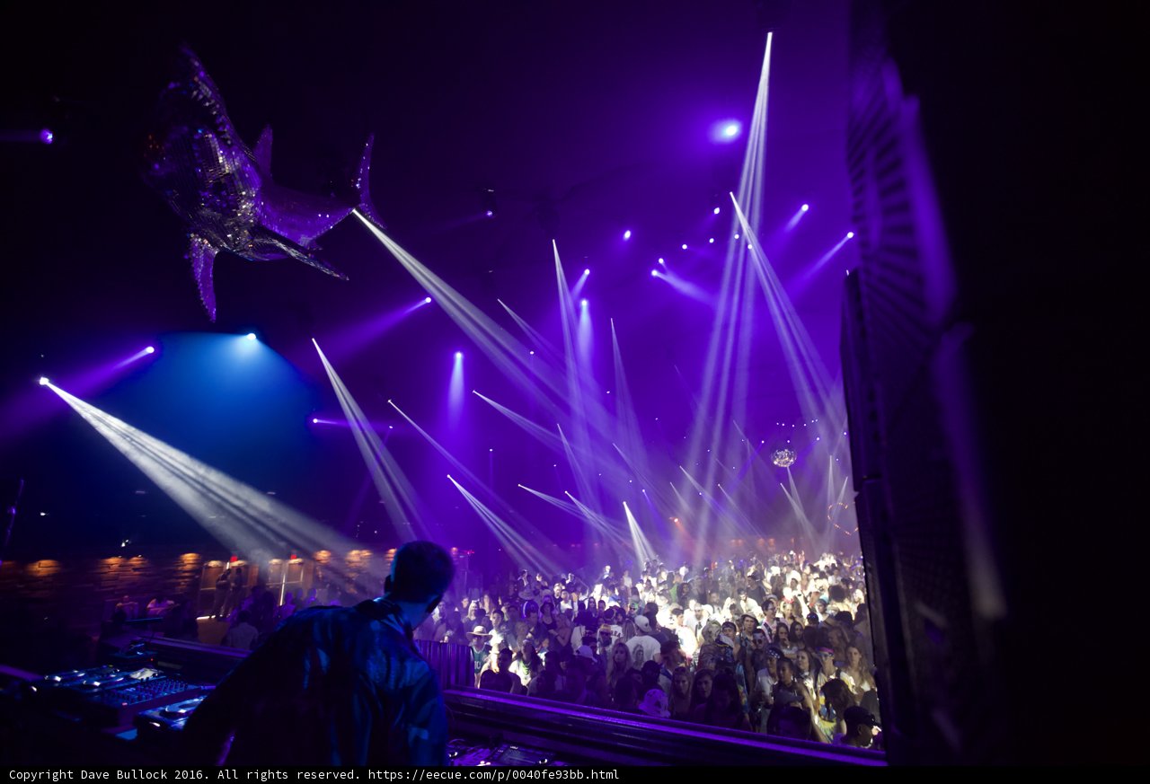 Nightlife Spotlight