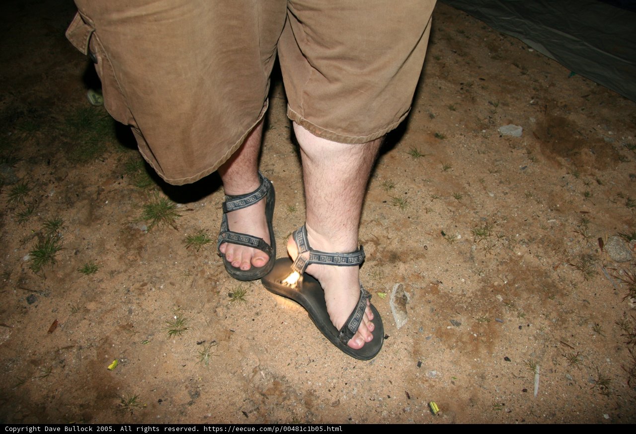 Fashionable Sandals