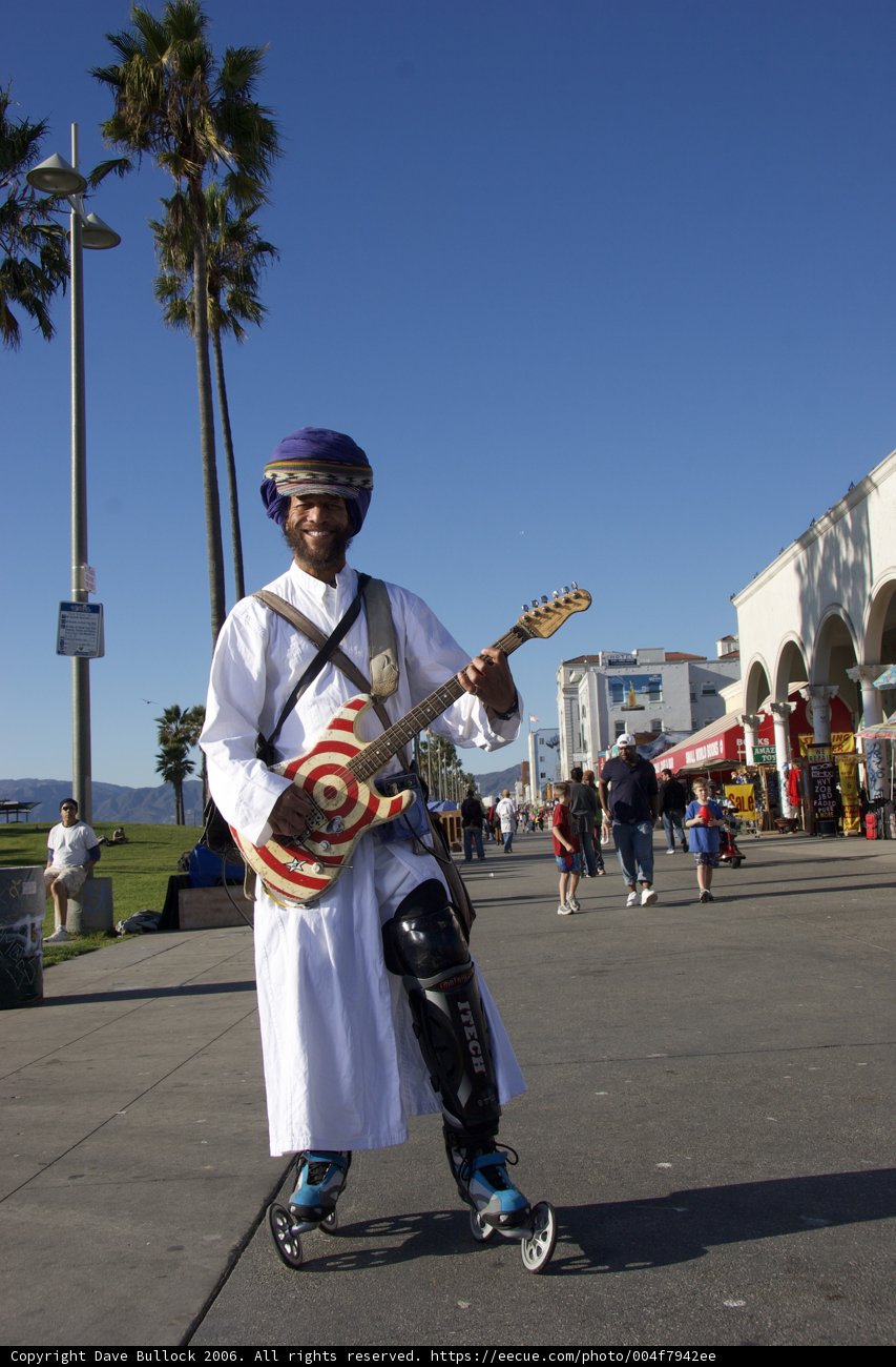 Serenading under the Palm Trees