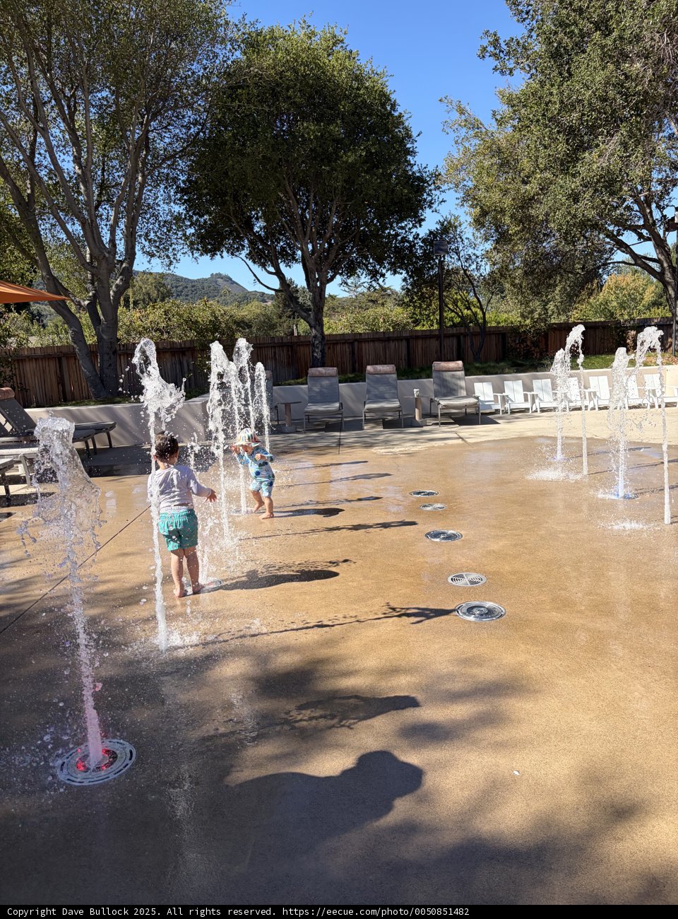 Fountain Frolic in Carmel