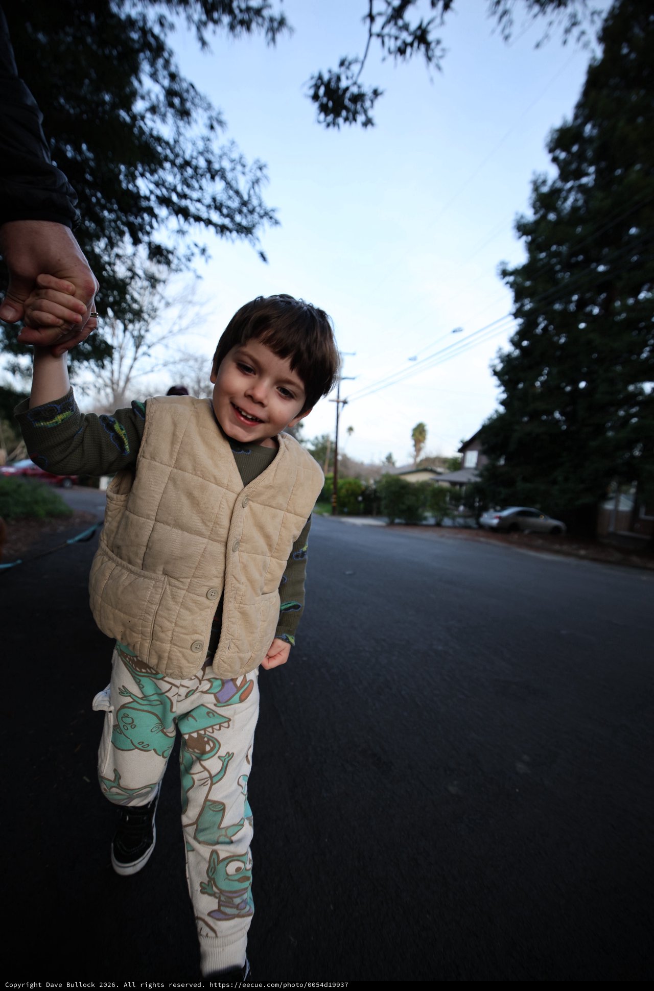 Young Child Walking Hand-in-Hand on Suburban Street