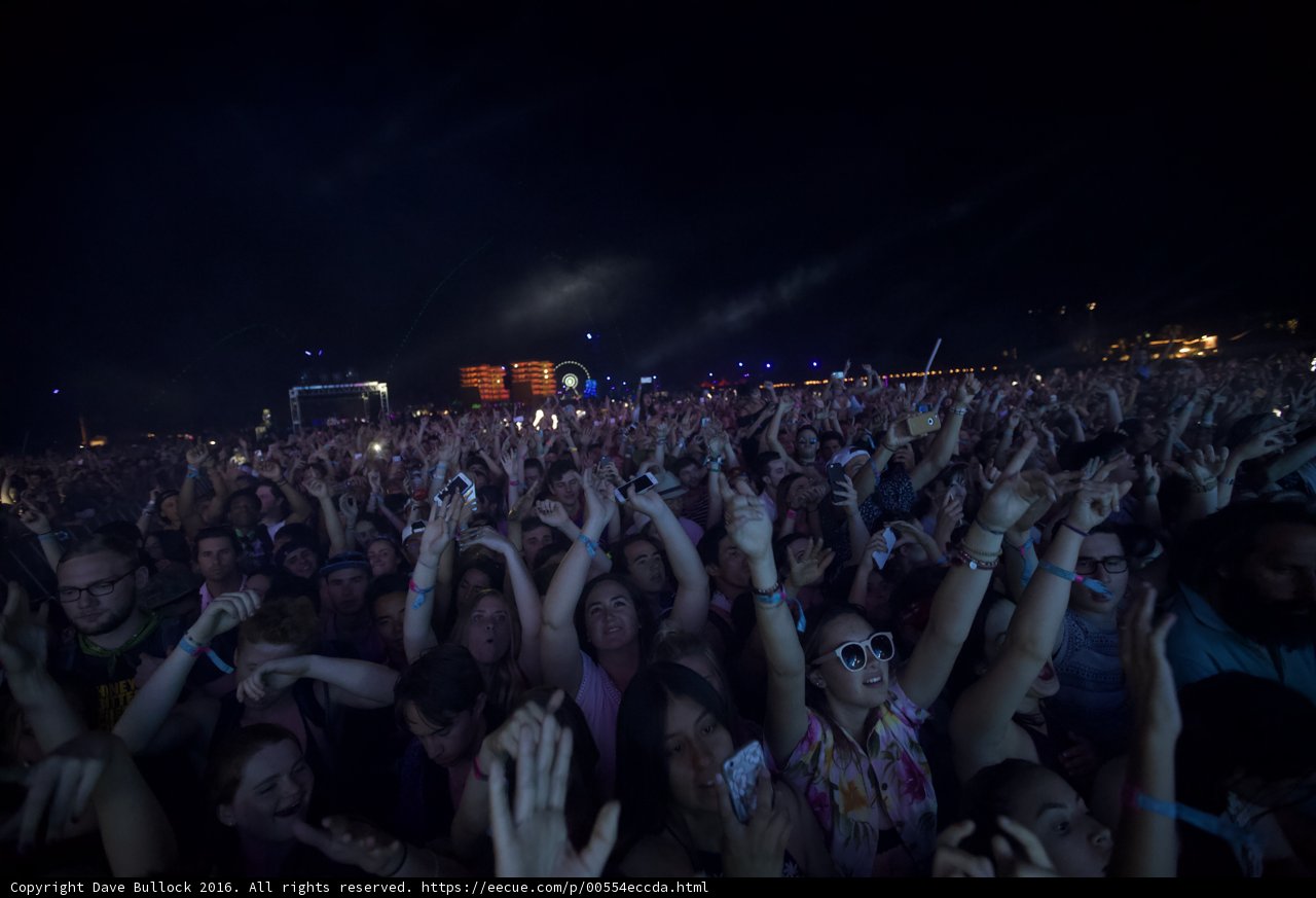 Coachella Crowd Goes Wild