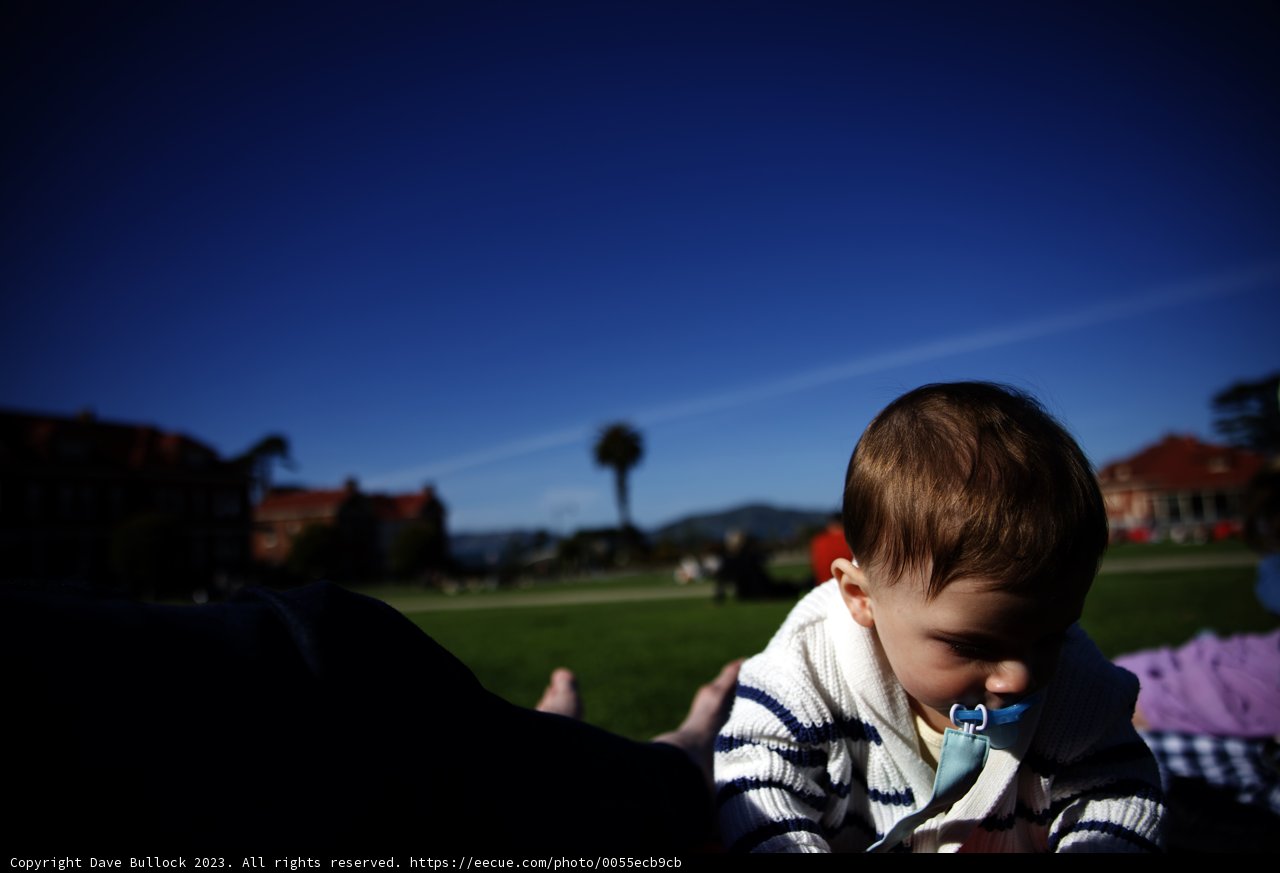 A Joyful Day at Presidio Park