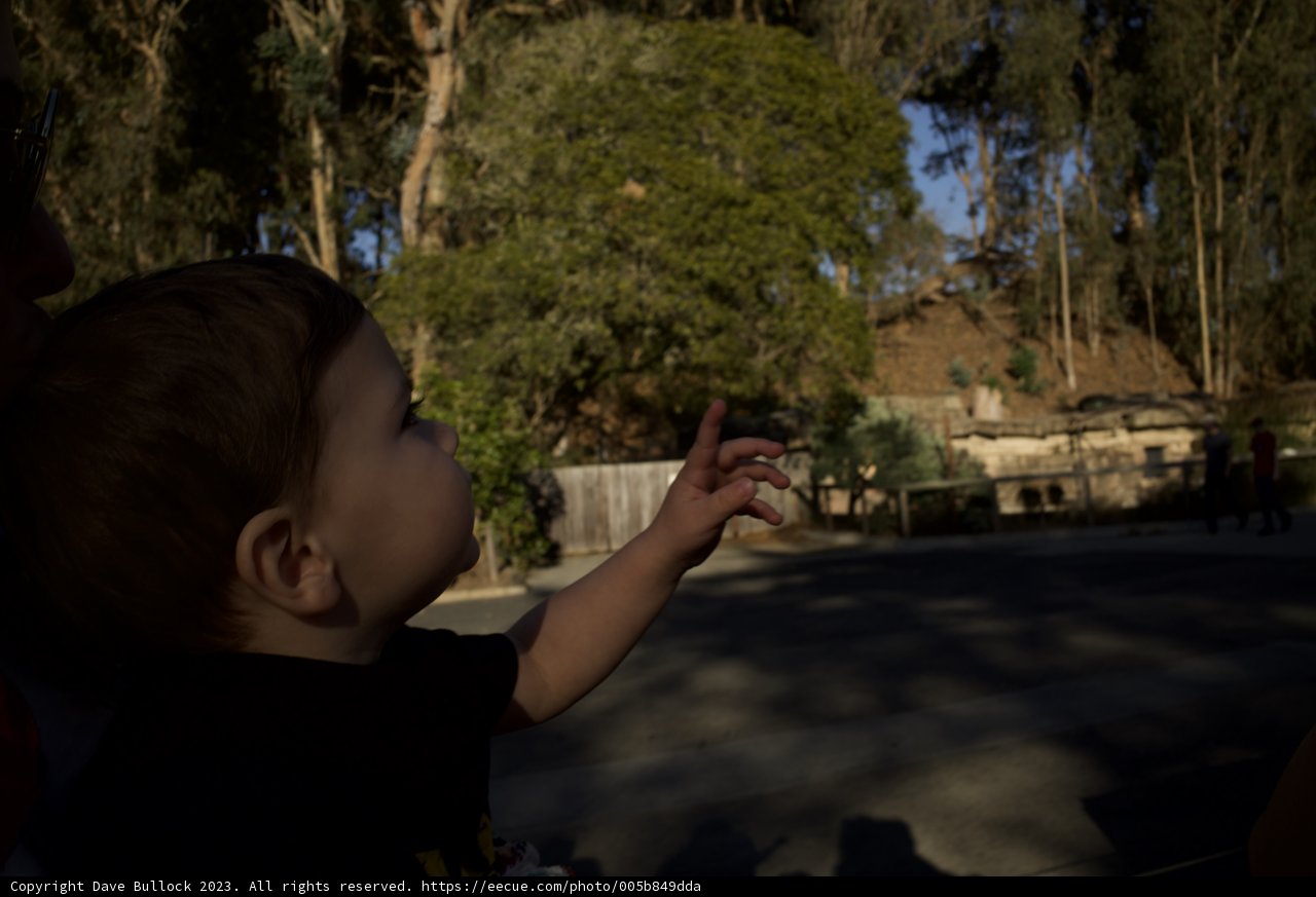 Discovering Life: The Wonder of Nature