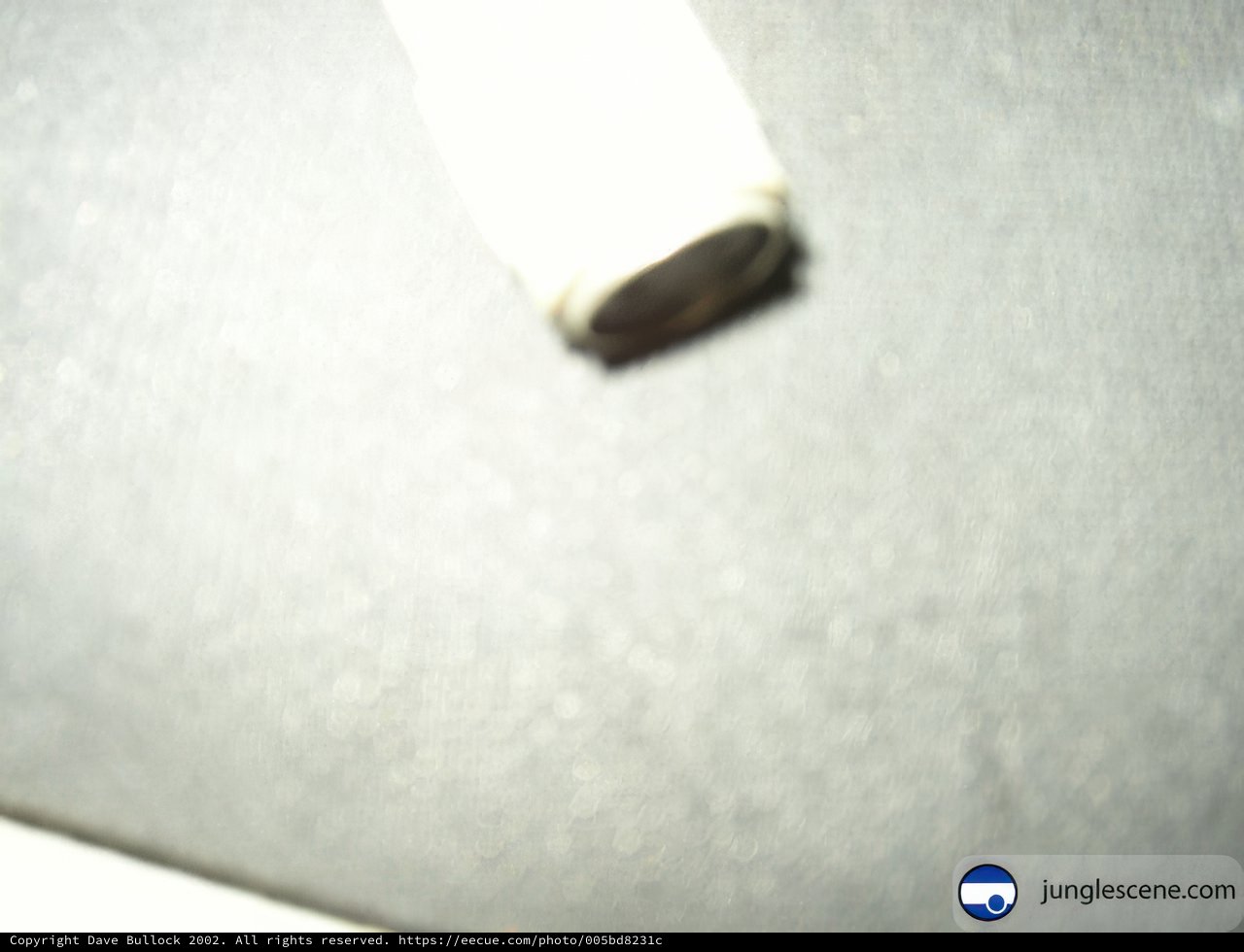 Mystery White Object