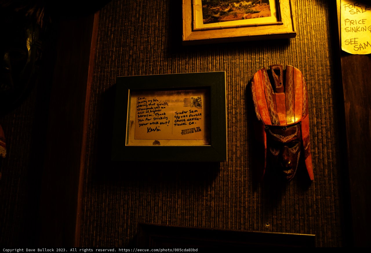 Enigmatic Mask in Artistic Frame