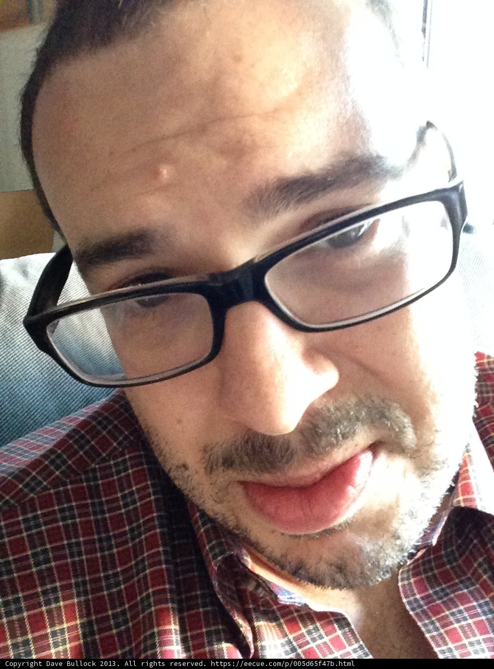 Portrait of a Happy Man with Glasses
