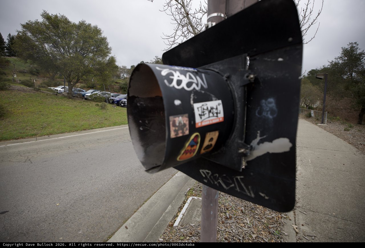 Graffiti-Tagged Mailbox Along Suburban Pathway
