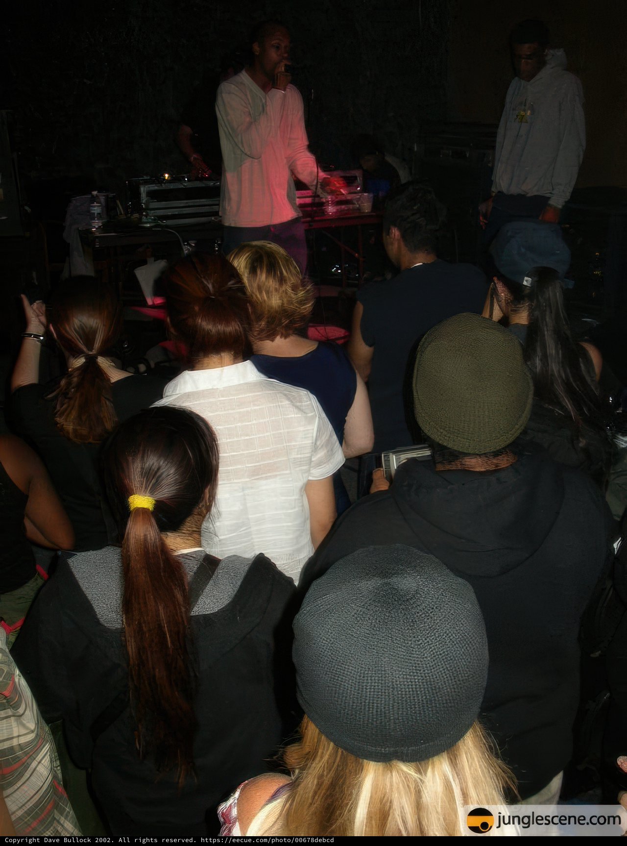 Nightclub Performance