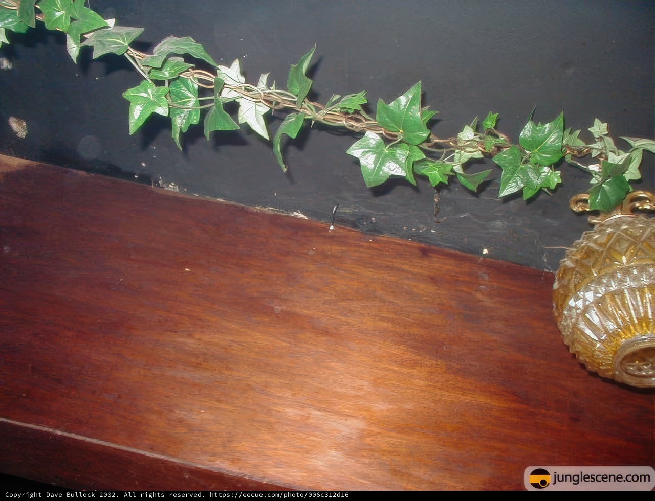 Ivy-adorned Vase