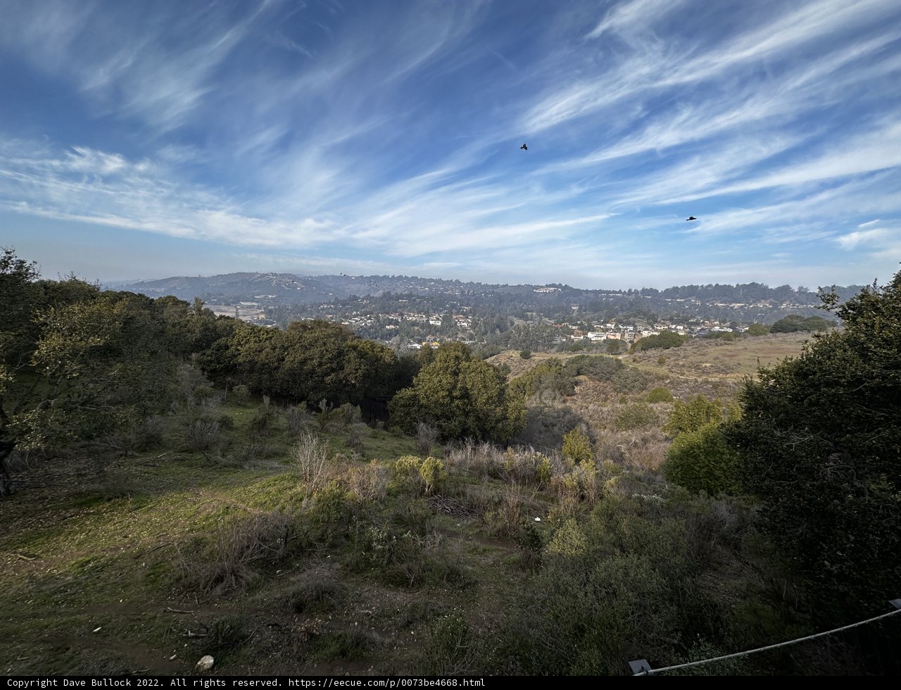 Scenic View of the Wilderness from a Hillside