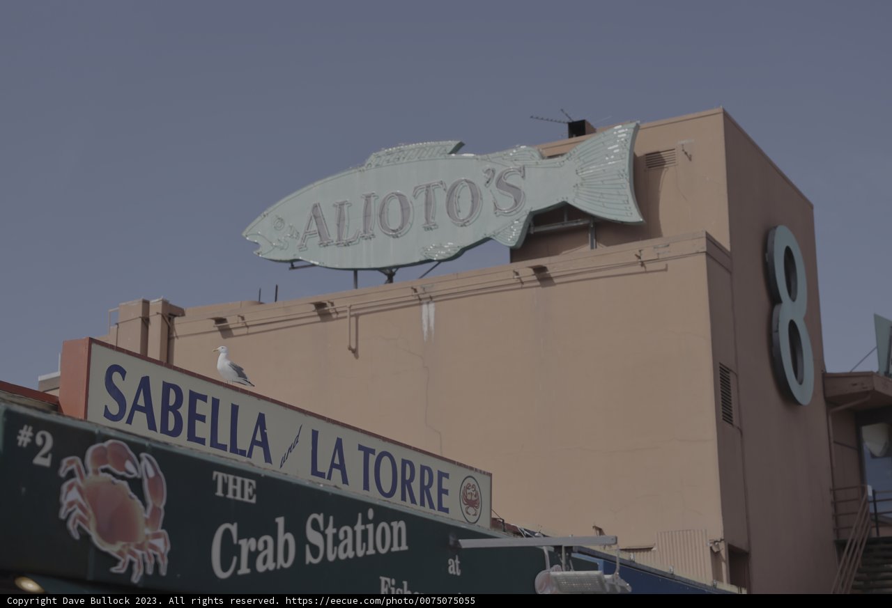 Fish Sign Advertisement