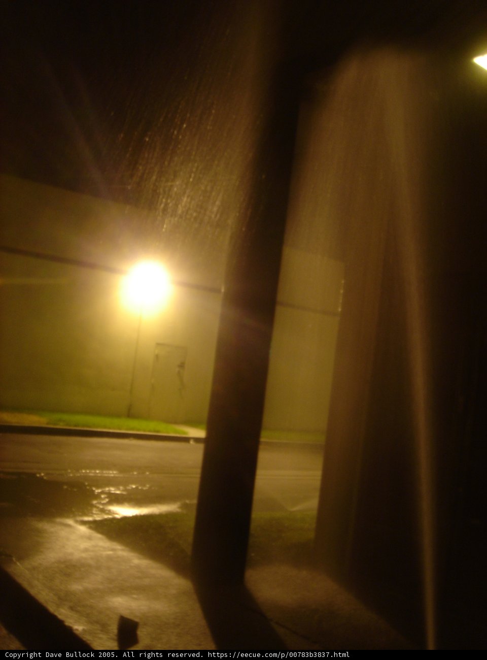 Illuminated Night Street with Fire Hydrant