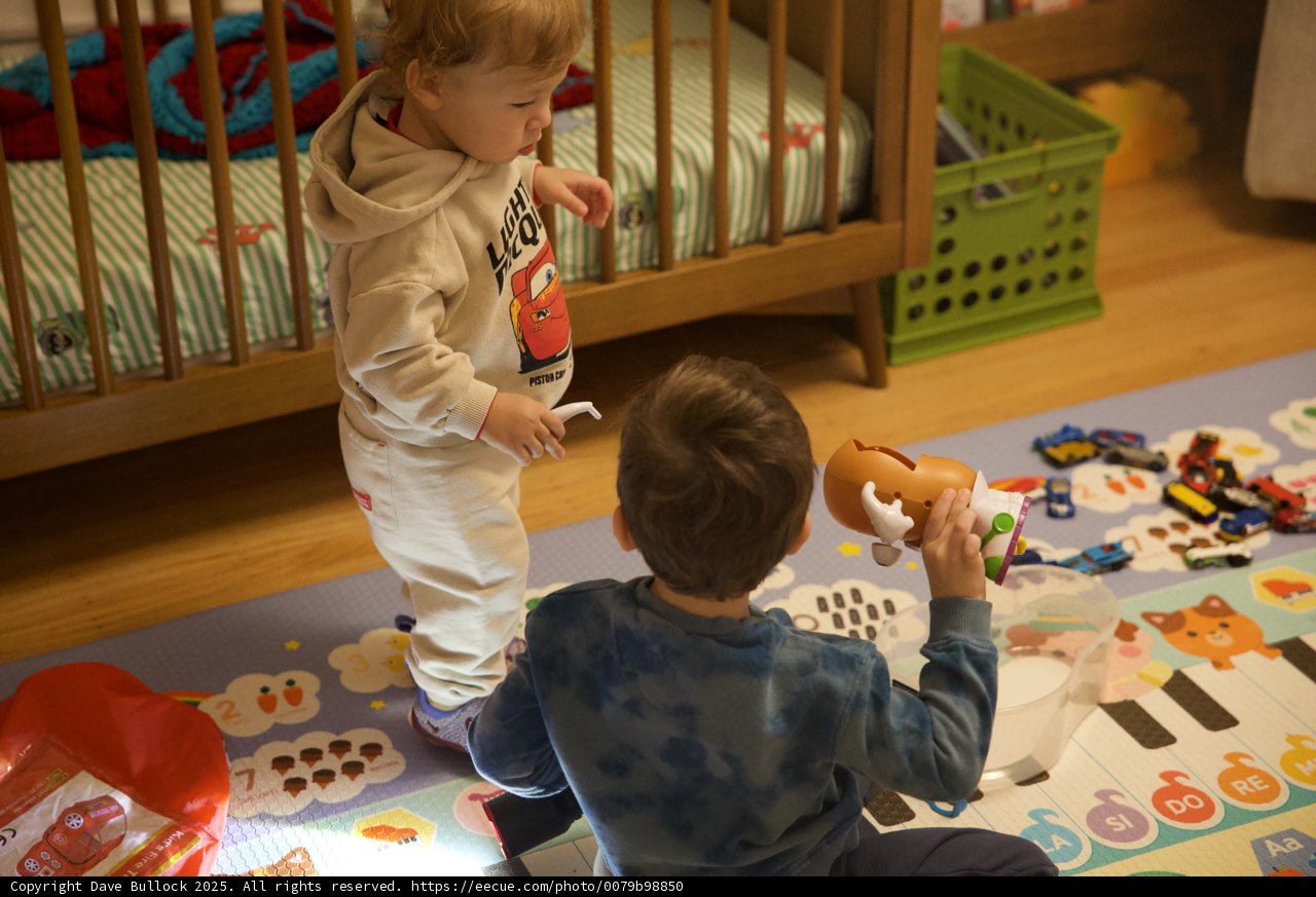 Playful Moments in the Nursery