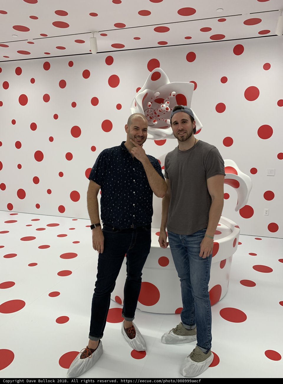 Polka Dot Wall Fashion