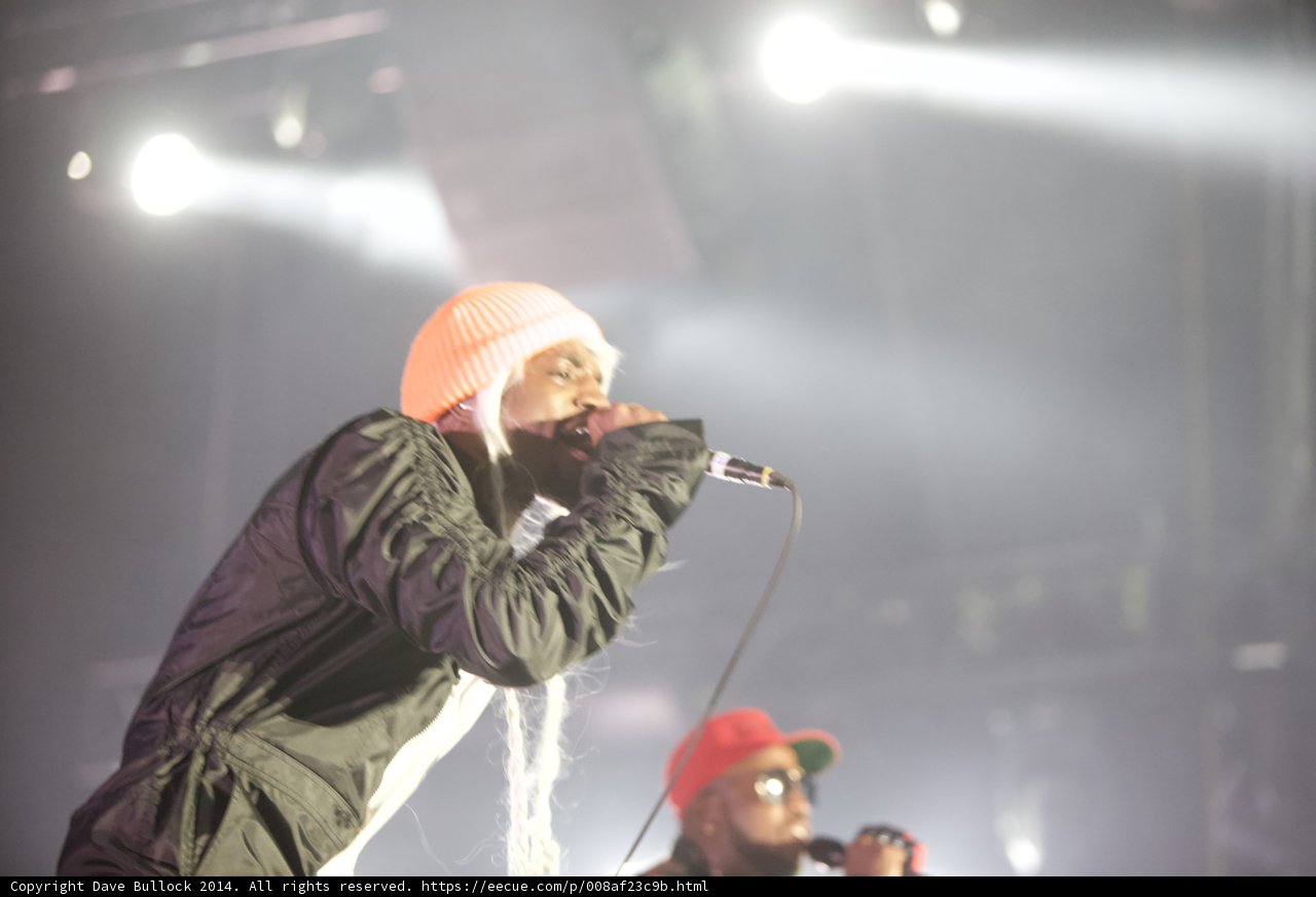 The Beanie Crooner