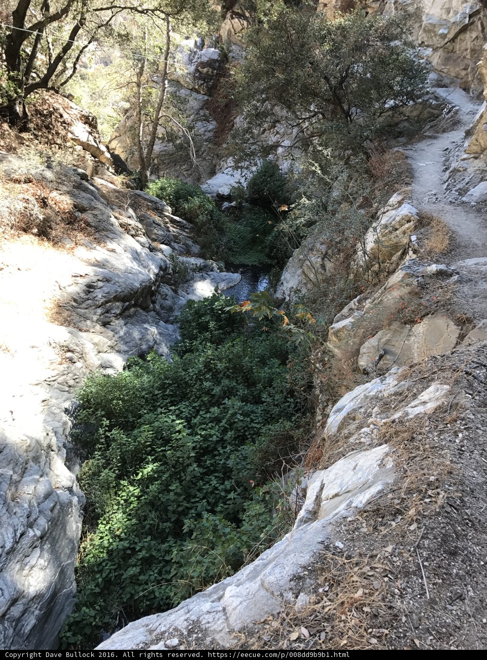 Descending the Wilds