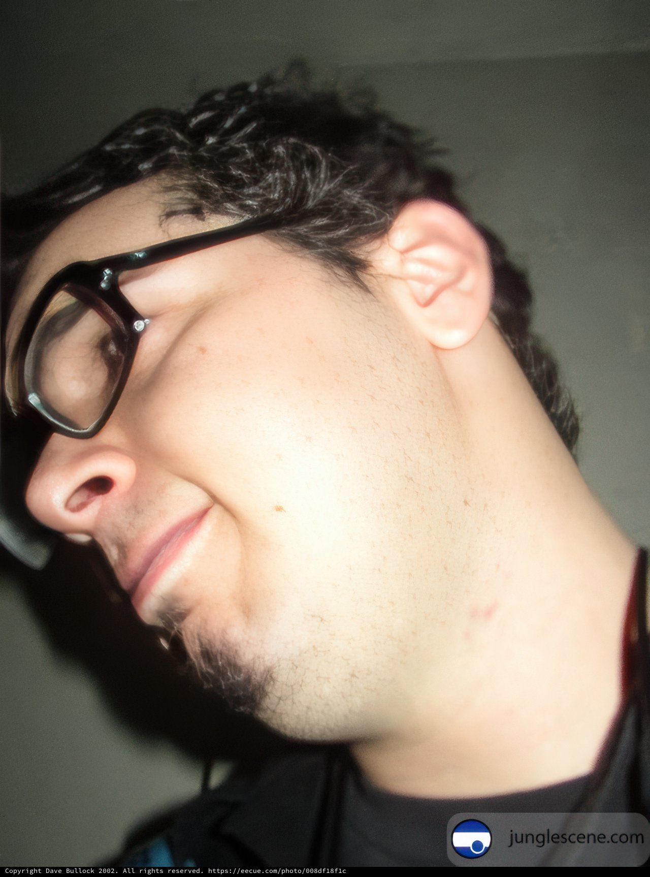 The Spectacled Portrait